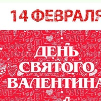 Елена Сафронова